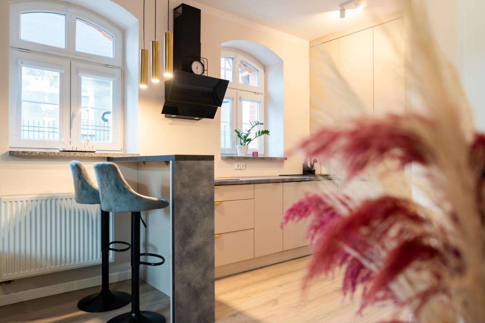 Apartment Smile - Z Prywatnym Monitorowanym Parkingiem By Spaceapart Jelenia Gora